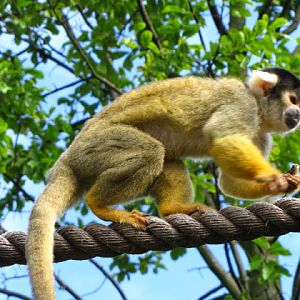 ZSL London Zoo 9.09.2010