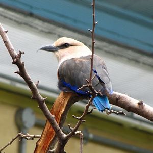 ZSL London Zoo 9.09.2010