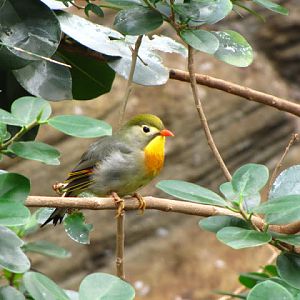 ZSL London Zoo 9.09.2010