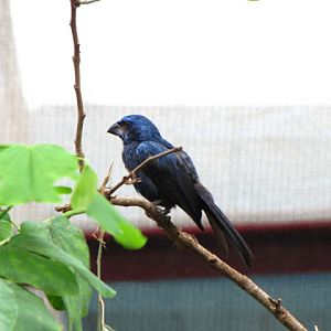 ZSL London Zoo 9.09.2010