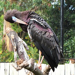 ZSL London Zoo 9.09.2010