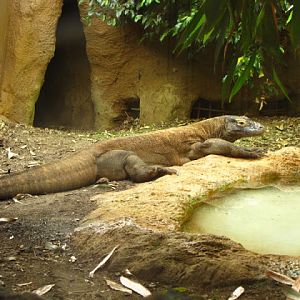 ZSL London Zoo 9.09.2010