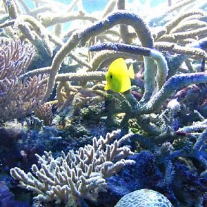 ZSL London Zoo 9.09.2010