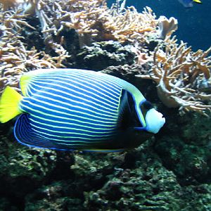 ZSL London Zoo 9.09.2010