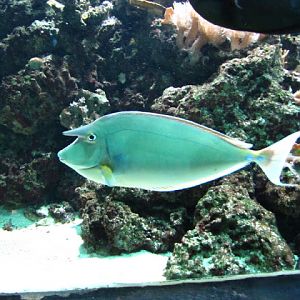 ZSL London Zoo 9.09.2010