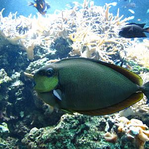 ZSL London Zoo 9.09.2010