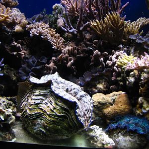 ZSL London Zoo 9.09.2010