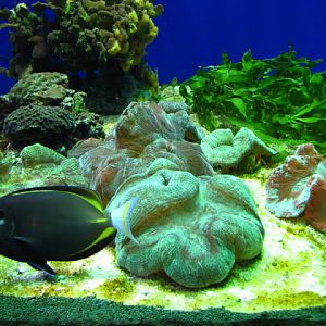 ZSL London Zoo 9.09.2010