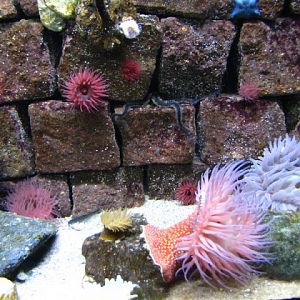 ZSL London Zoo 9.09.2010