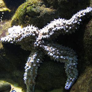 ZSL London Zoo 9.09.2010