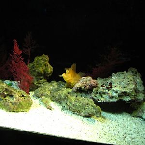 Siam World Ocean 15.01.2013