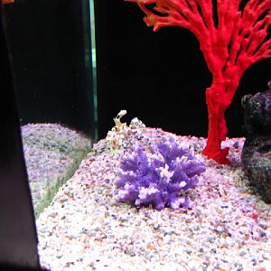 Siam World Ocean 15.01.2013