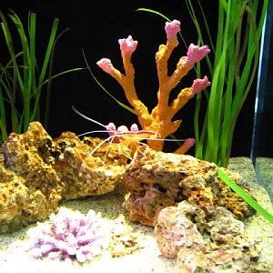 Siam World Ocean 15.01.2013