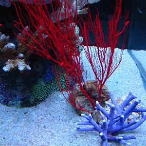 Siam World Ocean 15.01.2013