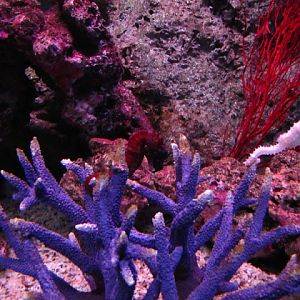 Siam World Ocean 15.01.2013