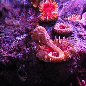 Siam World Ocean 15.01.2013