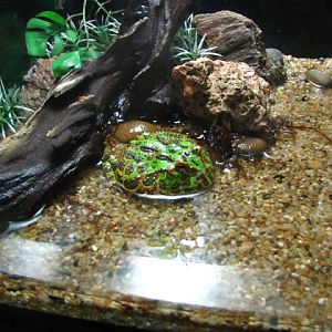 Siam World Ocean 15.01.2013