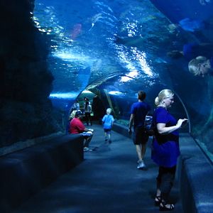 Siam World Ocean 15.01.2013
