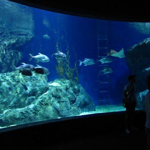 Siam World Ocean 15.01.2013