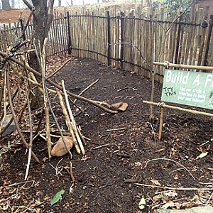 Build a Fort - Children's Garden area