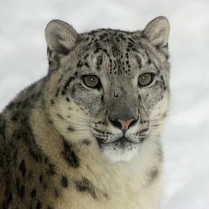 Winter in the park 16/2 2013