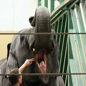 Winter in the park 16/2 2013