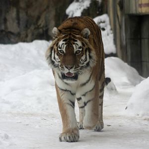 Winter in the park 16/2 2013