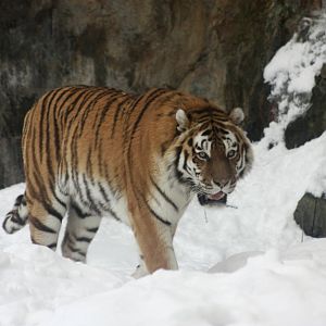 Winter in the park 16/2 2013