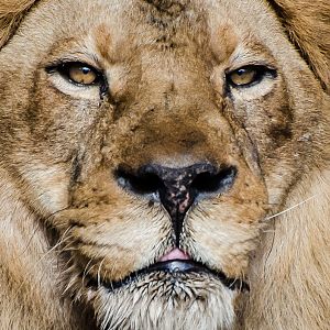 Jacksonville Zoo and Gardens