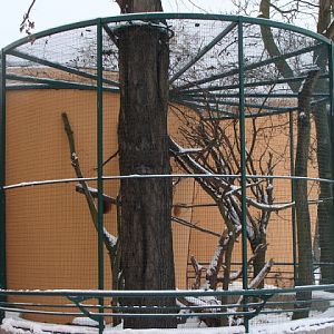 Summer cage of Ratufa bicolor