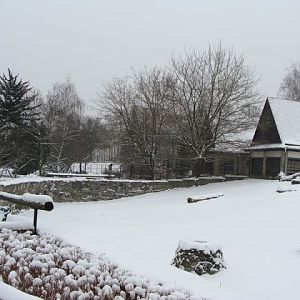Winter in the zoo