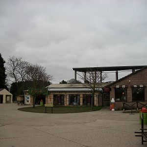 For Pertinax, Where the Orang-utans Orbited 22nd February 2013