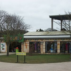 For Pertinax, Where the Orang-utans Orbited 22nd February 2013