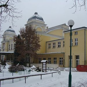 Building of the terrarium