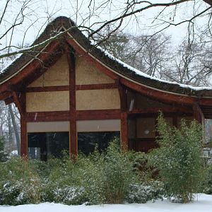 Pavilion of the gibbon