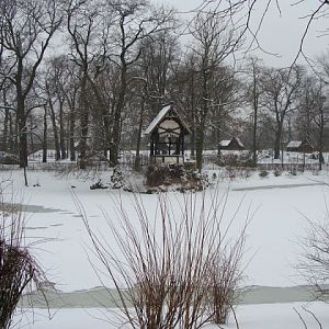 Winter in the zoo