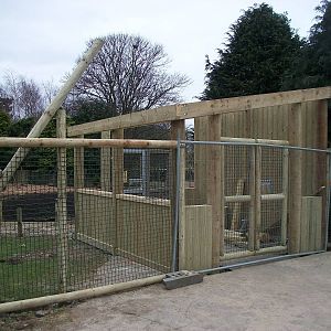 Wallaby Walk-through under construction 22nd February 2013