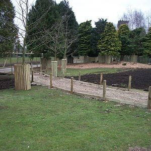 Wallaby Walk-through under construction 22nd February 2013