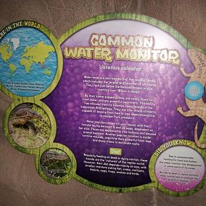 Signage in new reptile area 22nd February 2013