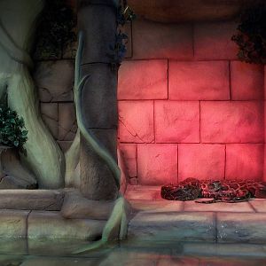 Burmese Python exhibit 22nd February 2013