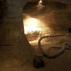 Indoor Meerkat area 22nd February 2013