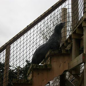 Miguel 22nd February 2013