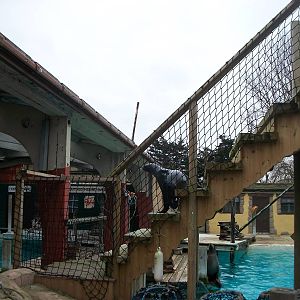 Miguel 22nd February 2013