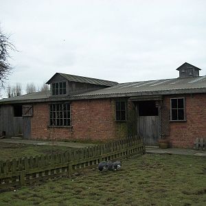 Muddy Duck Farm 22nd February 2013