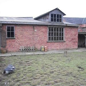 Muddy Duck Farm 22nd February 2013