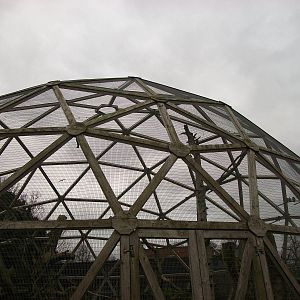 Parrotsphere close-up 22nd February 2013