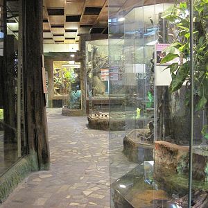 Inside the Reptile House