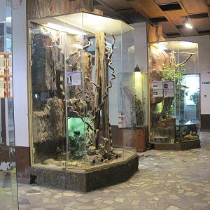 Inside the Reptile House