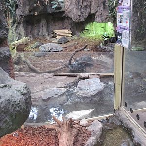 Inside the Reptile House