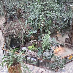 Inside the Reptile House